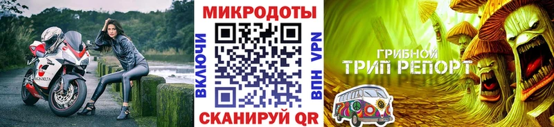 Купить  Фролово  Псилоцибиновые грибы GOLDEN TEACHER 